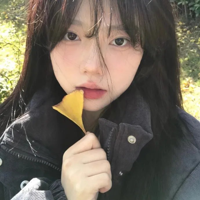 槑头槑脑3