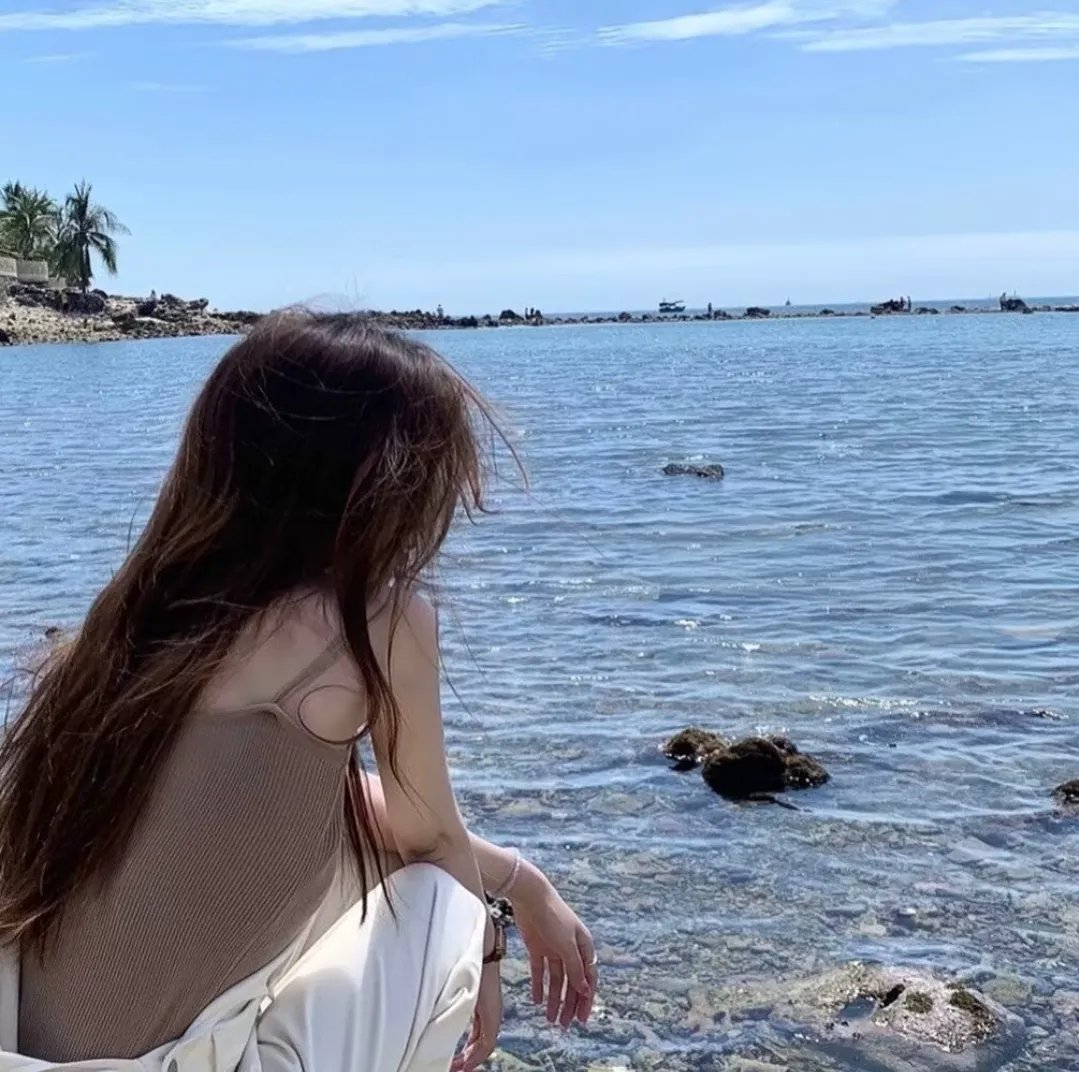 夏日之书2024